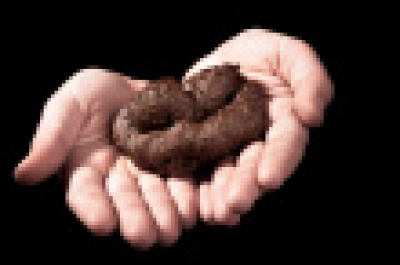 Dog Poo